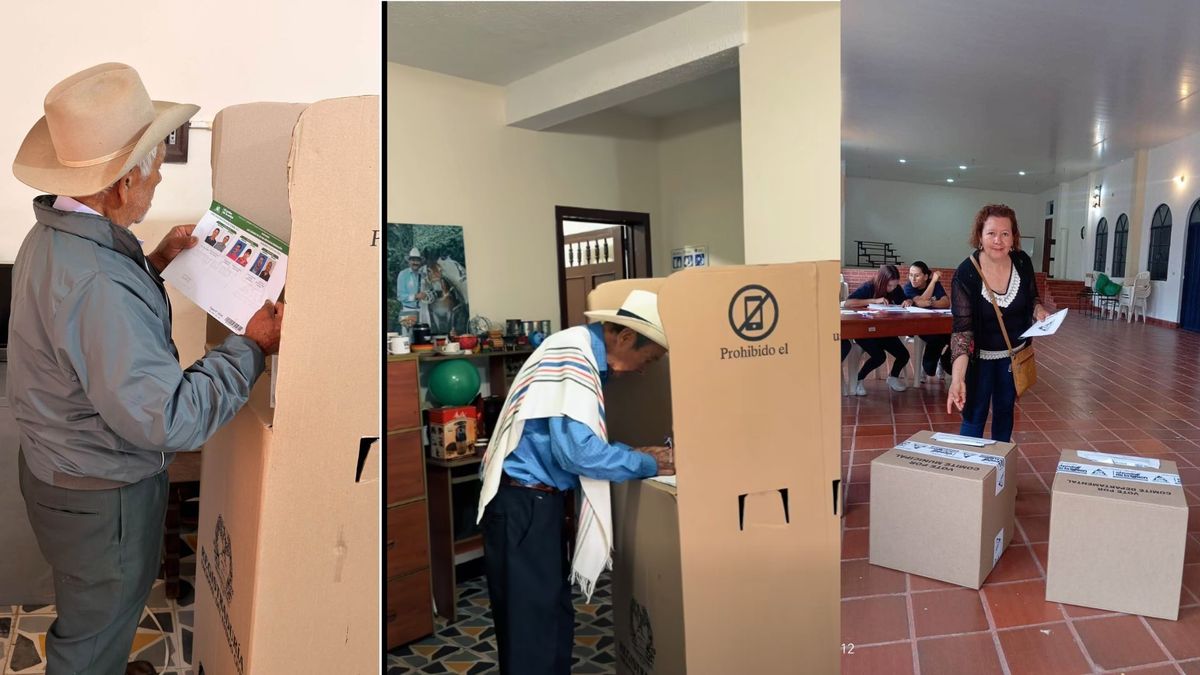 Elecciones cafeteras