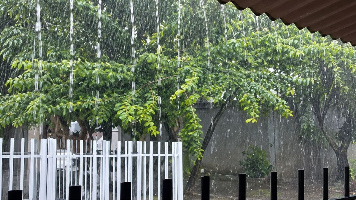 Vendaval en Montería