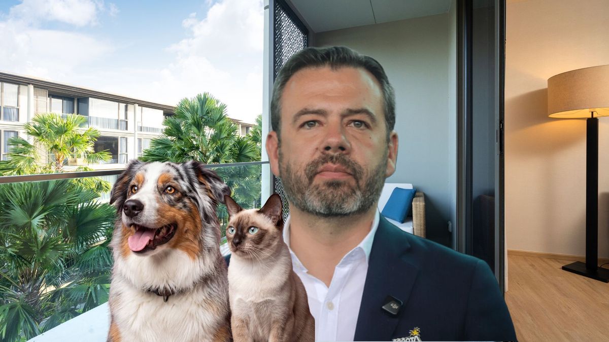 ¿Cómo evitar que una mascota se caiga de un balcón o una ventana?