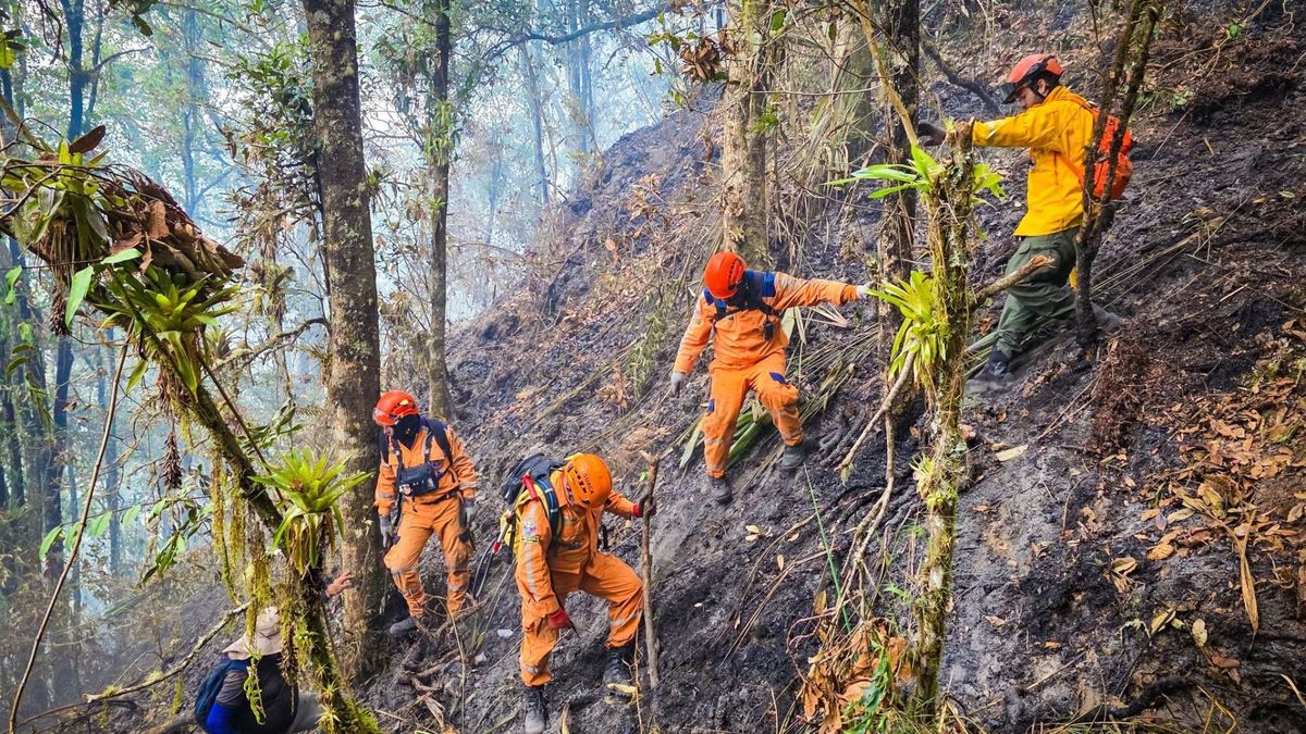 Incendio forestal en San Andrés, Santander.