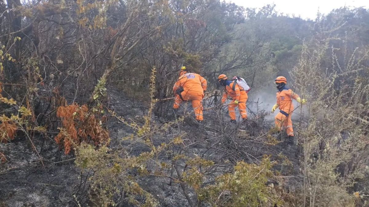 Incendios forestales mantienen la alerta ambiental en Santander.
