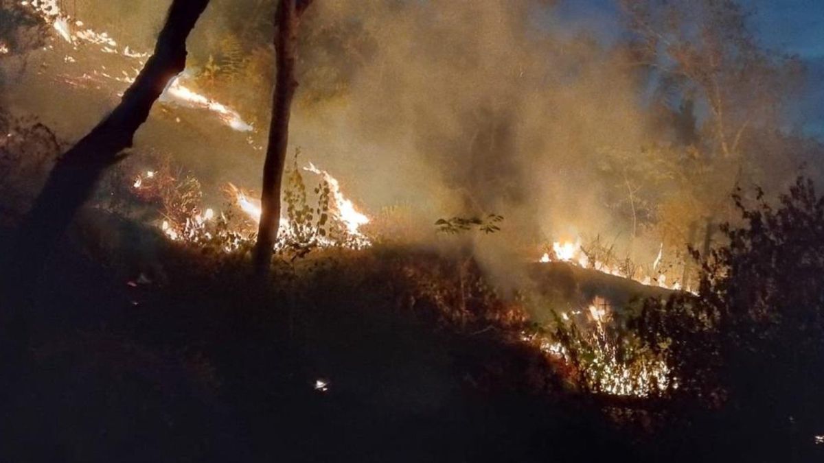 Incendios forestales activos en Tolima | Incendio Prado | Incendio Ataco