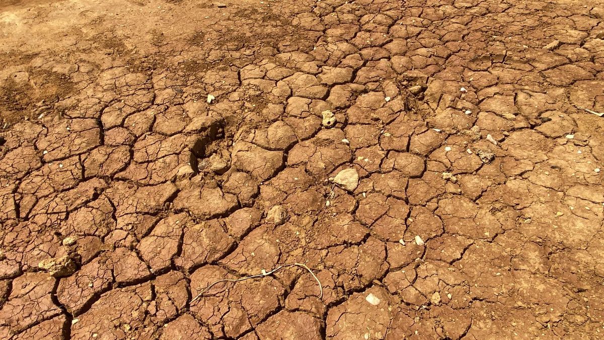 Sequía en la Alta Guajira