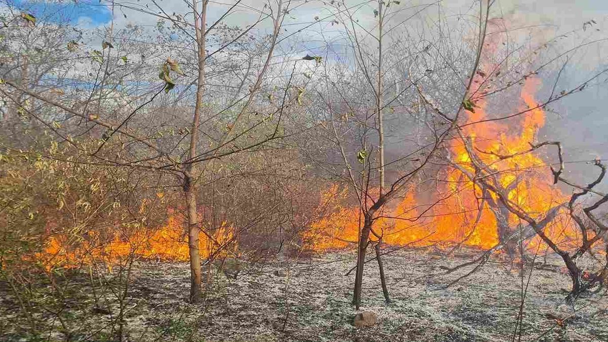Incendio Neiva 2026
