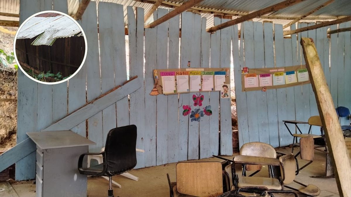 Convites para volver a las aulas en Risaralda