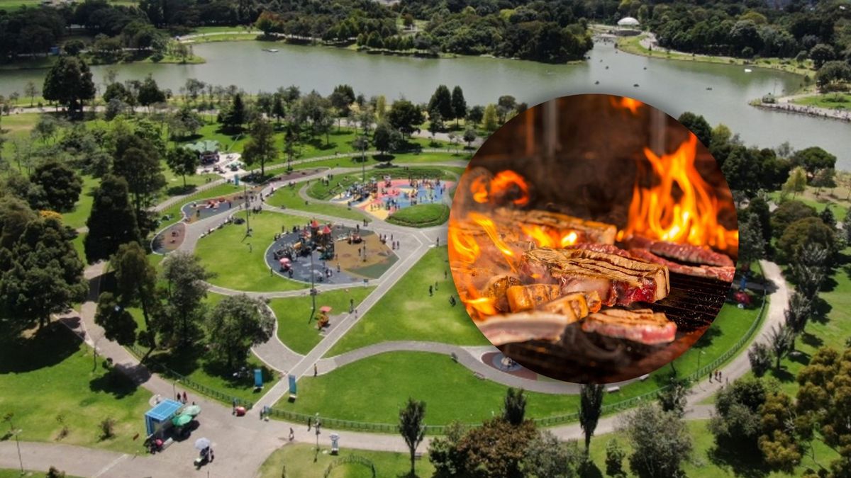 Parque Simón Bolívar y carne en un asador