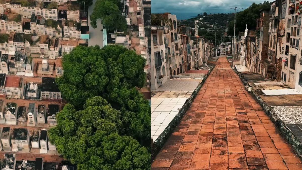 Cementerio Central de Cúcuta