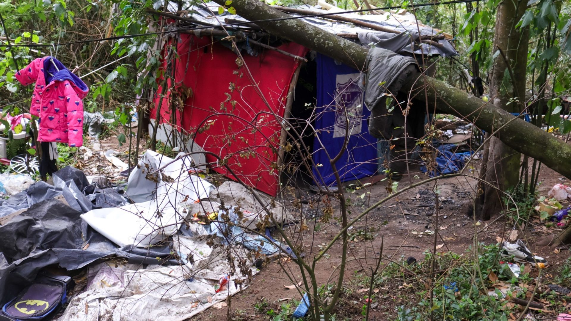 Retiran 56 toneladas de basura de los Cerros Orientales: ¿qué viene ahora?