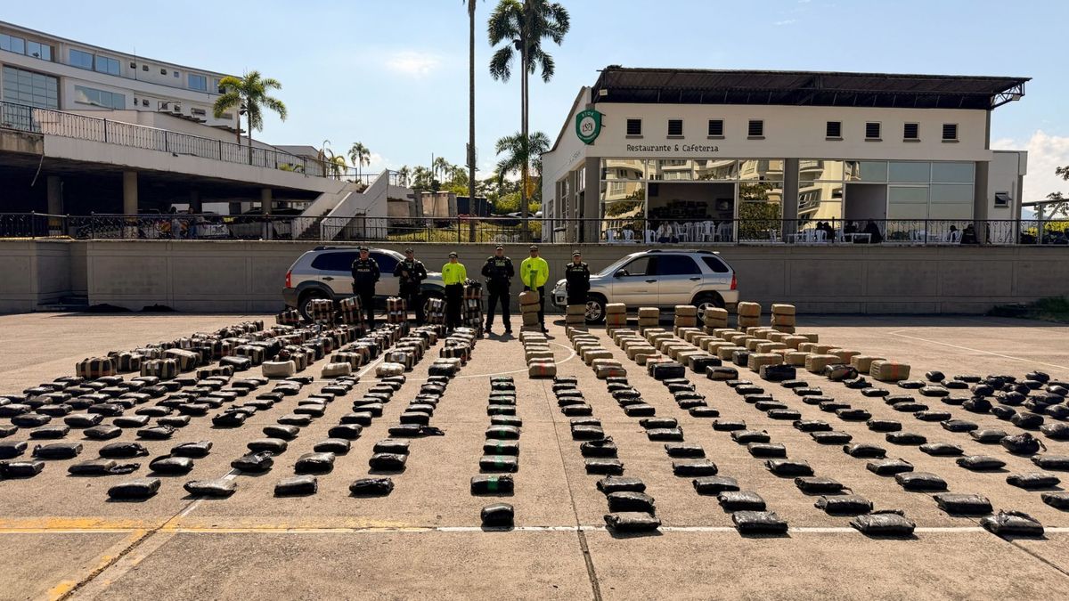 Golpe al narcotráfico: incautan más de dos toneladas de marihuana en Risaralda