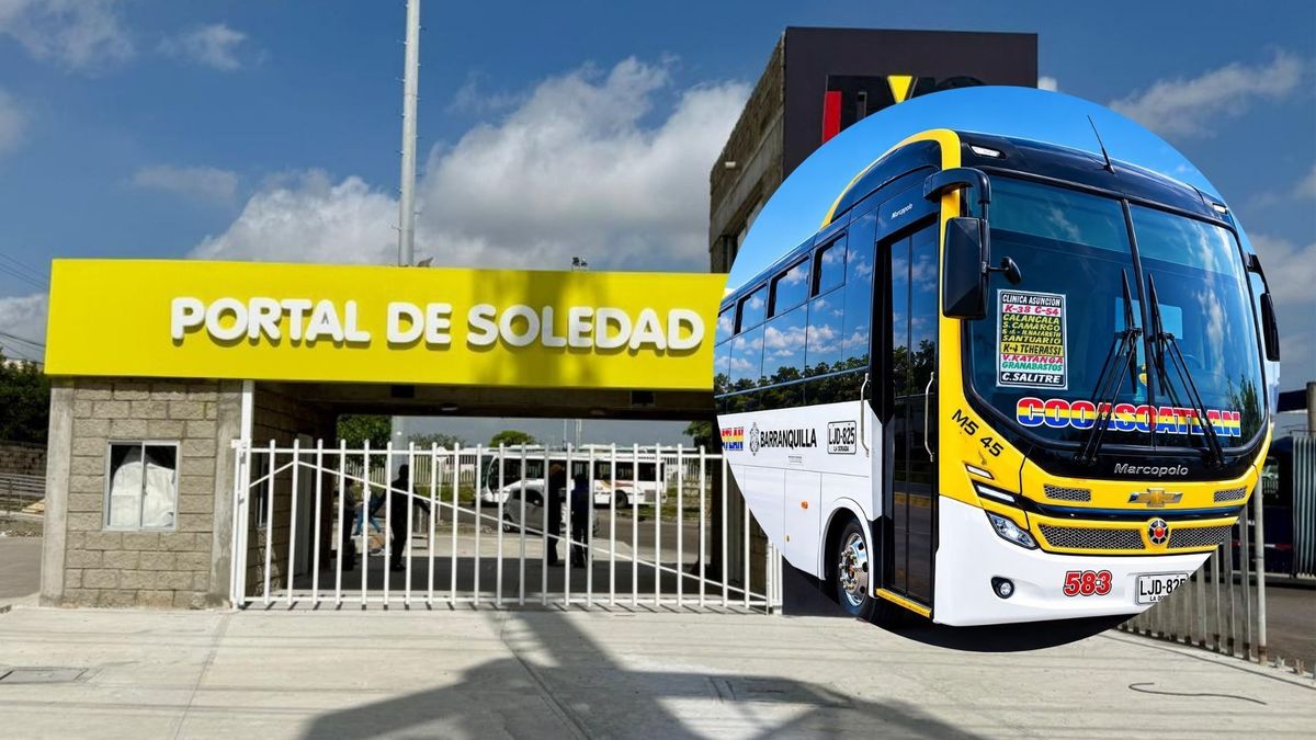 Portal de Soledad - Bus de Cooasoatlán