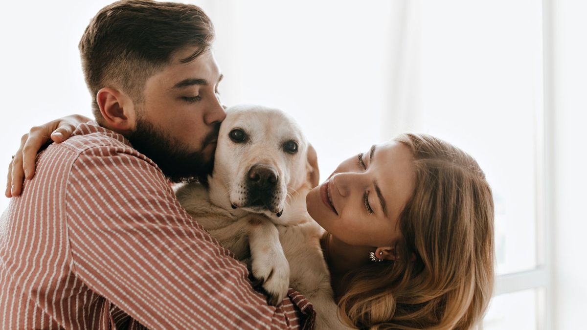 Adopción en Amor y Amistad este sábado