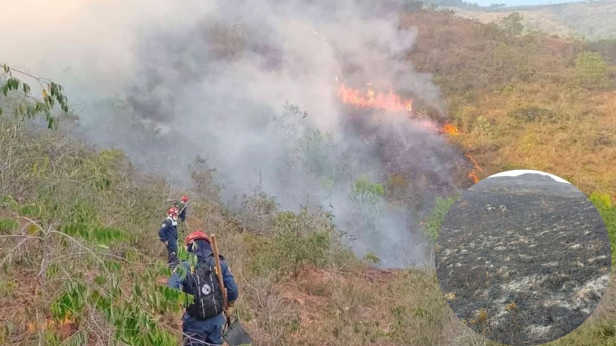 Incendios en Coromoro