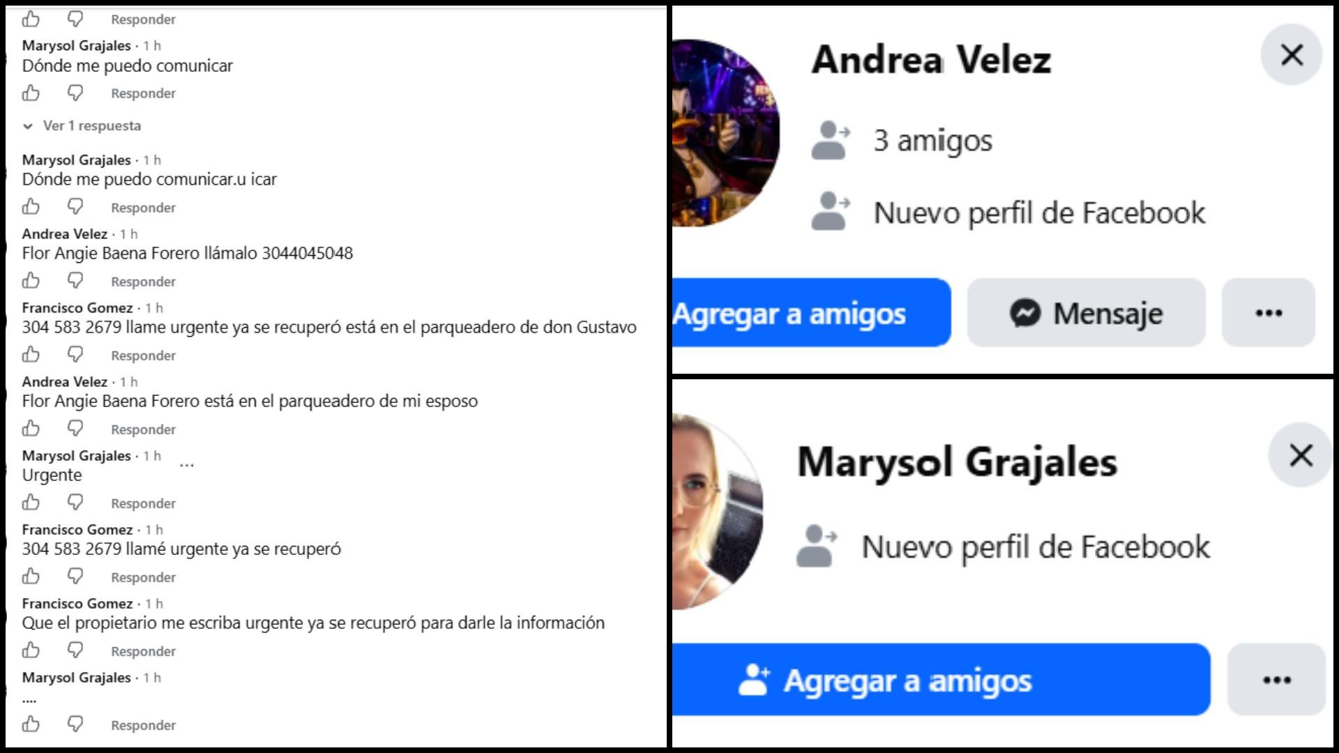 Perfiles de Facebook en caso de robo.