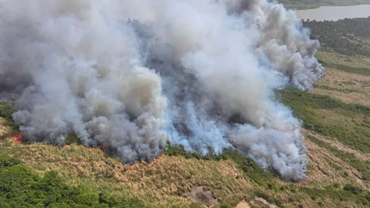 Incendios forestales en el Magdalena