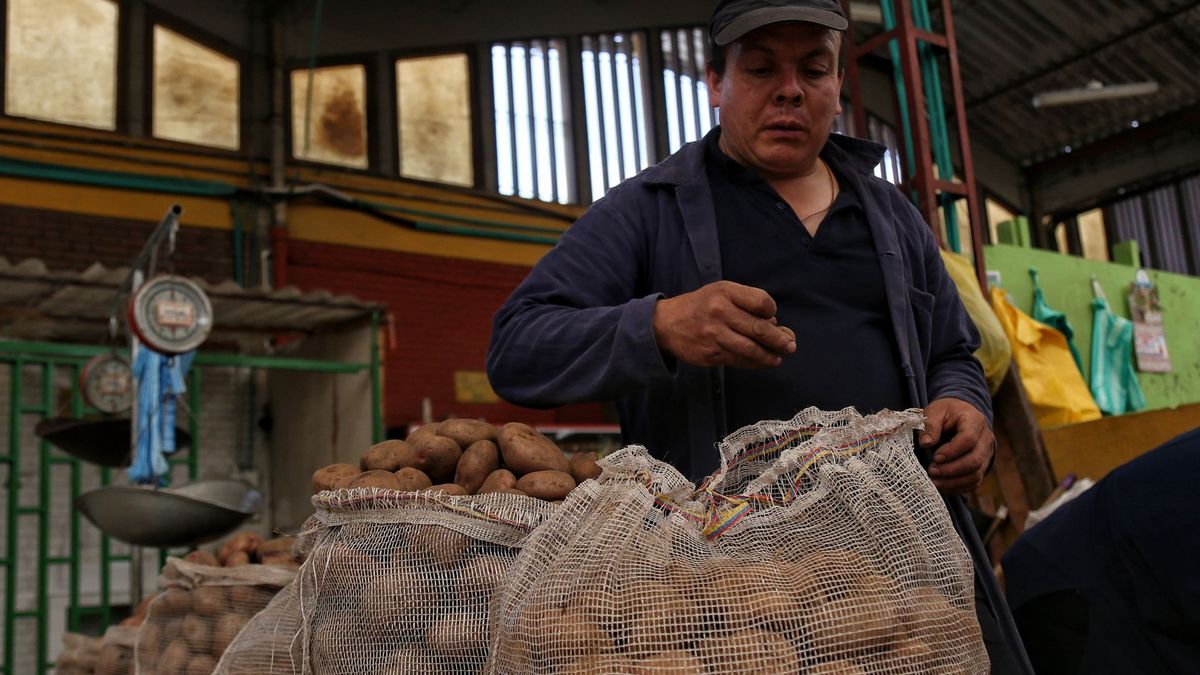 Bultos de papa en Corabastos