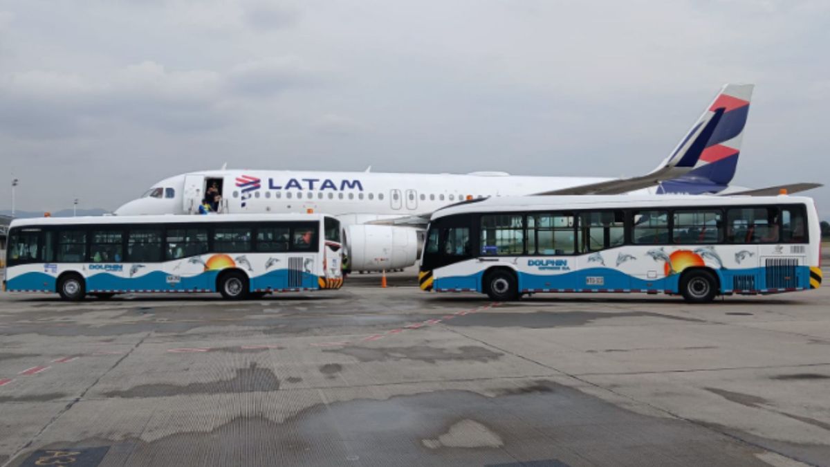 Buses que serán utilizados para transportar pasajeros en el aeropuerto de Cartagena