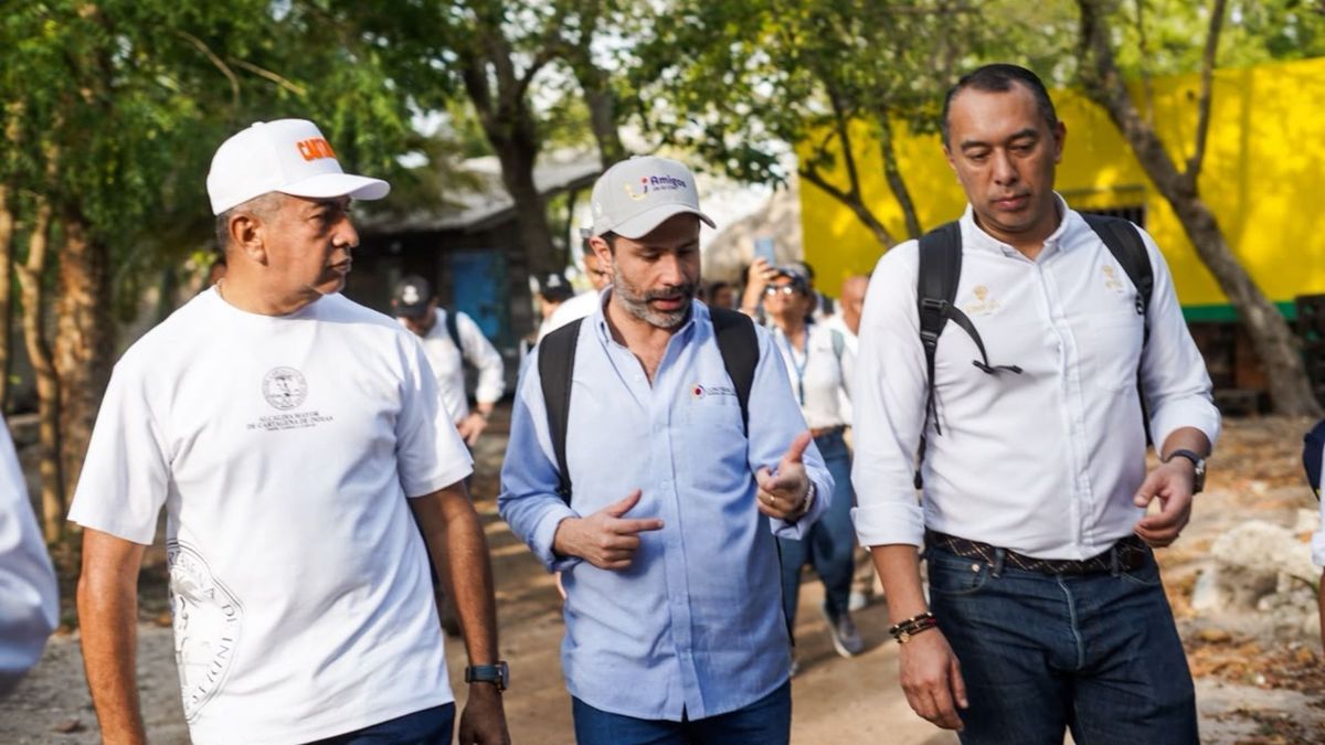 Con 900 paneles solares y respaldo diésel: así alistan solución eléctrica para Isla Grande, Cartagena
