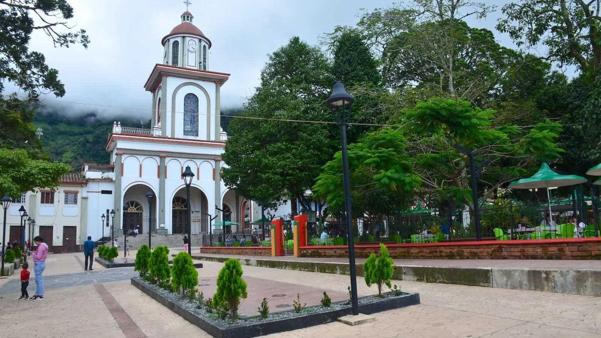Denuncias desde el municipio de Támesis.