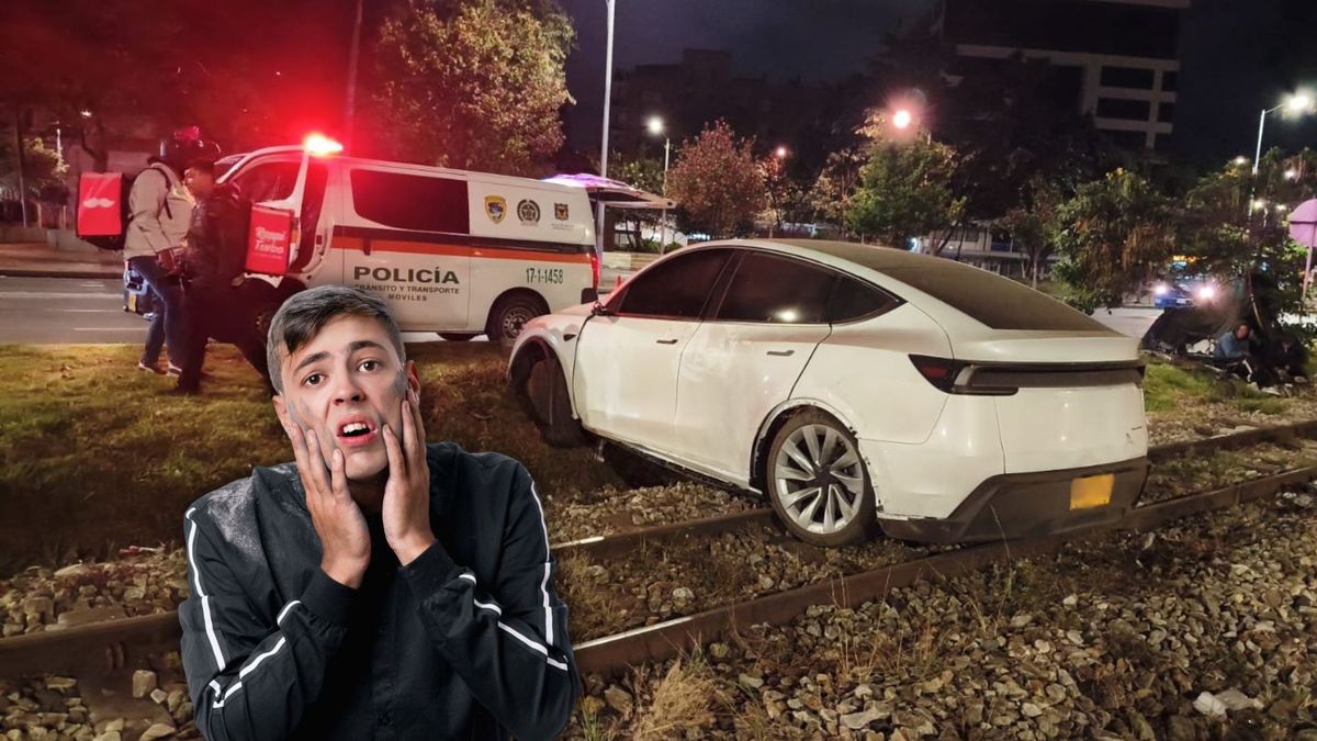 Carro Tesla accidentado y ciudadano sorprendido y asustado