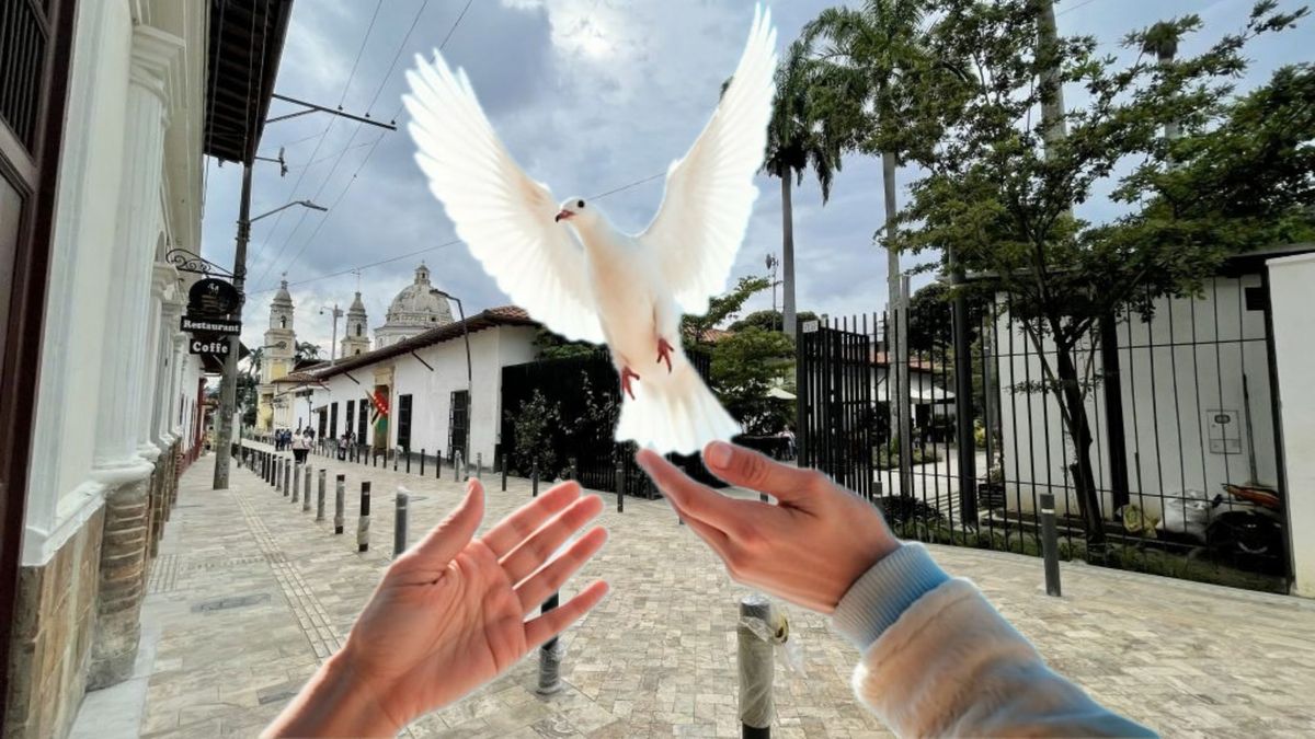 Paz - Bucaramanga