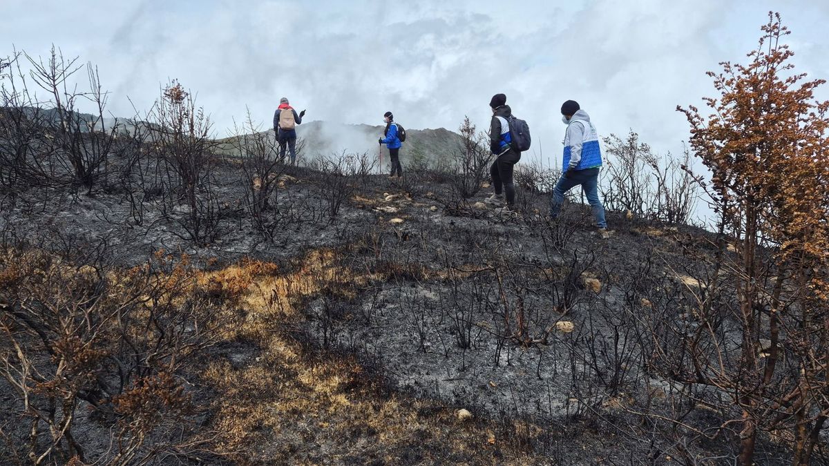 Incendio forestal en Tona, Santander