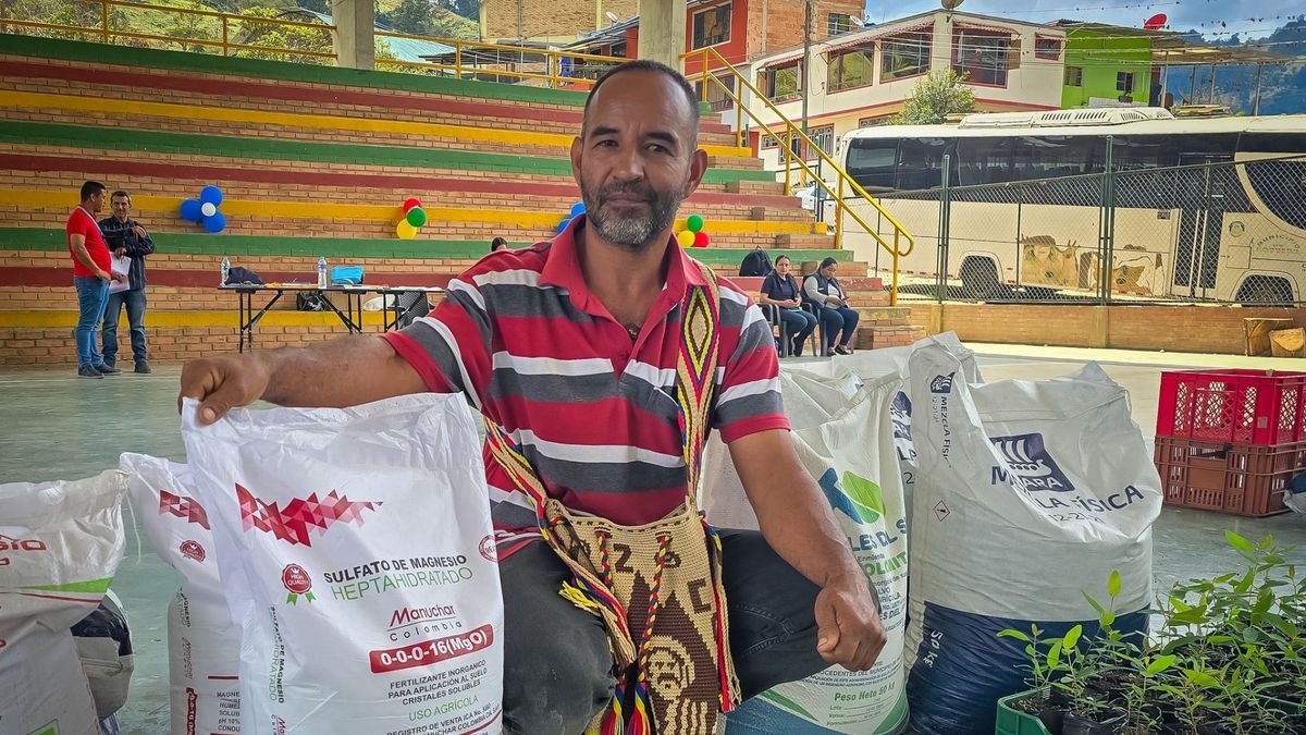 Cultivadores de fríjol recibirán insumos gratis en 50 municipios