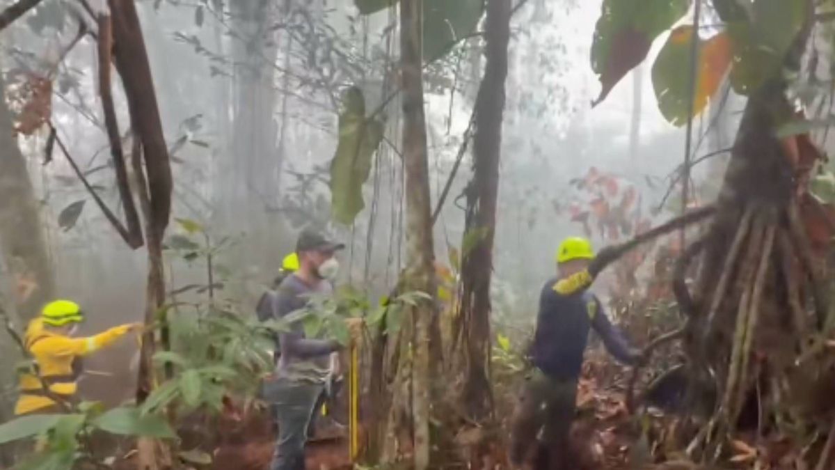 Incendio en Dolores | Emergencias por incendios Dolores | Dolores, Tolima