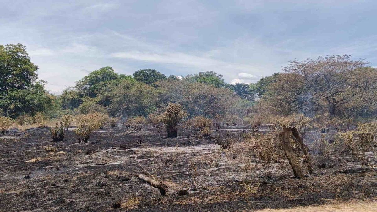 El Huila mantiene alerta por incendios en medio de la temporada de lluvias