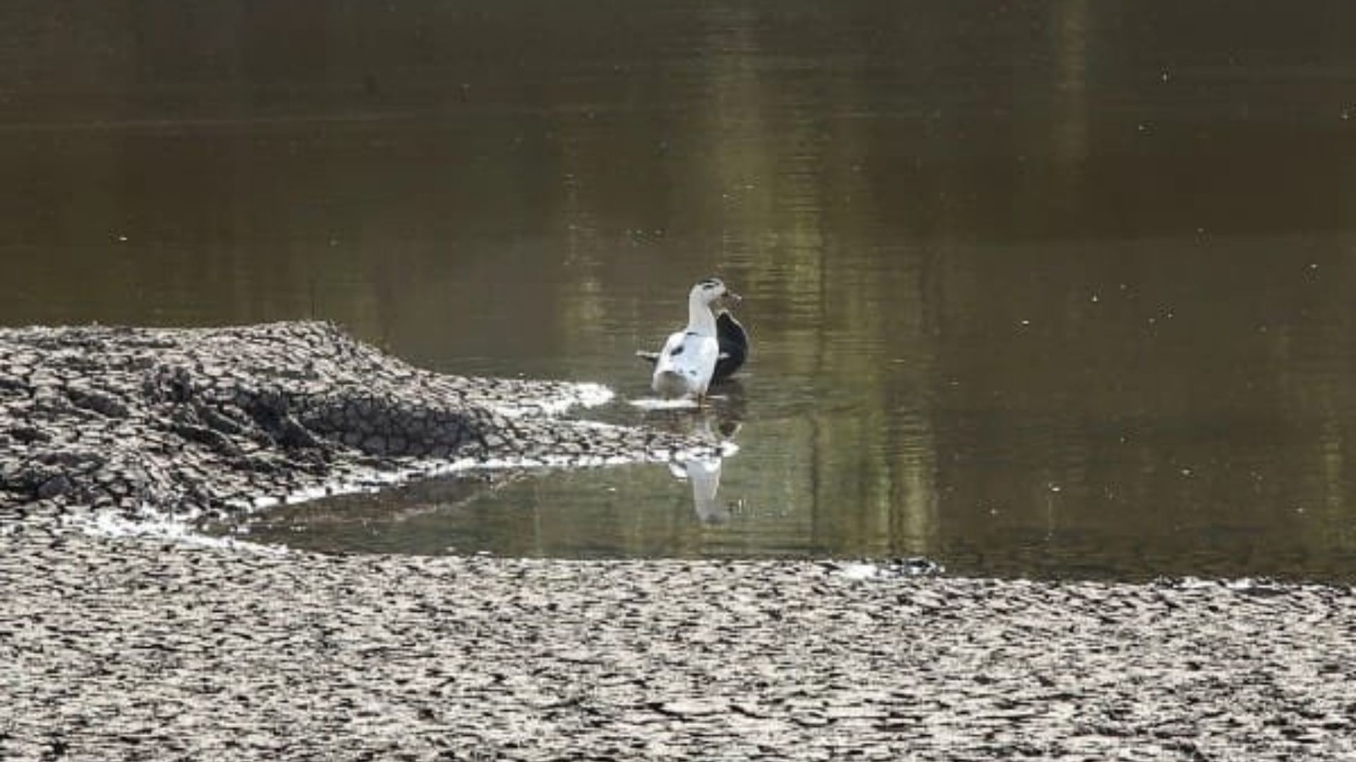 Agua volvió a correr en Facatativá