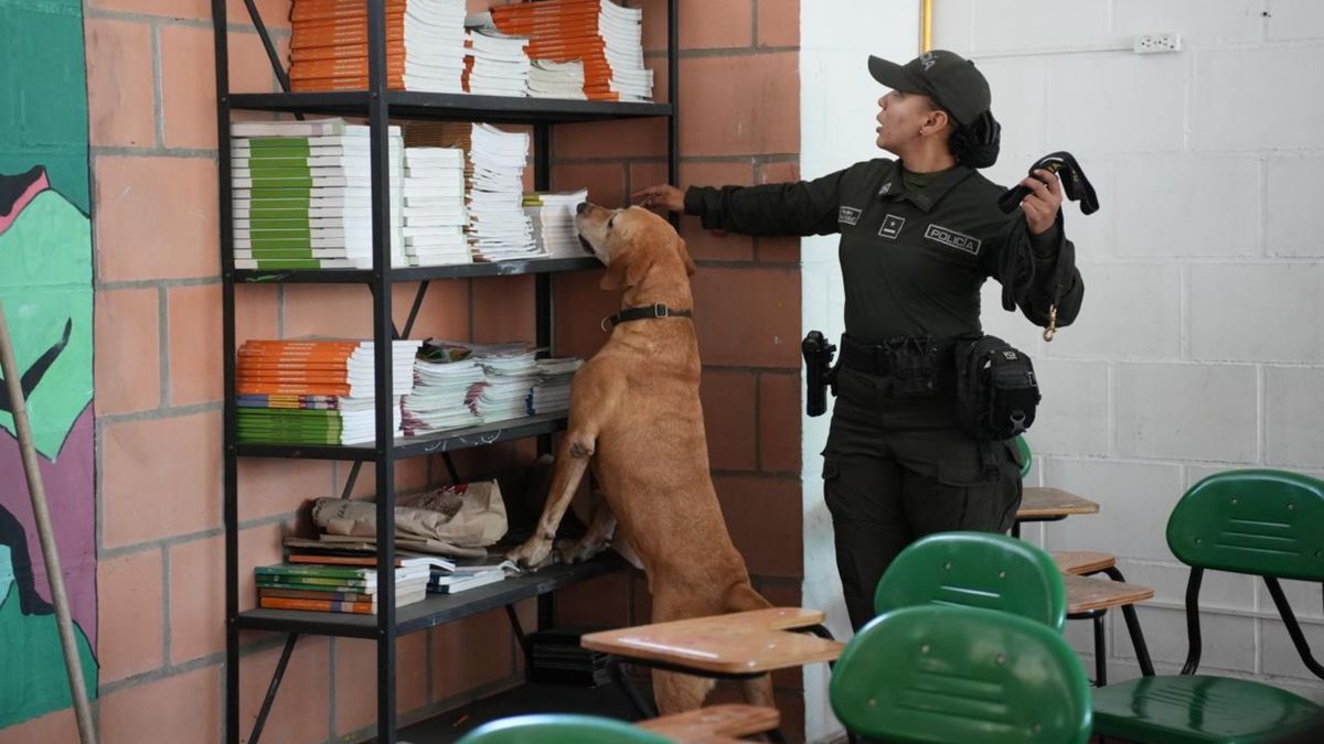 Estrategias colegios en Antioquia.