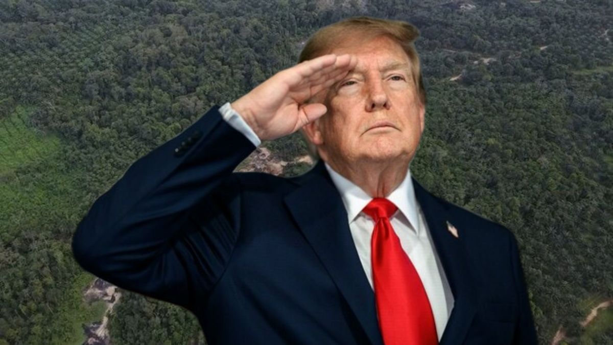 Donald Trump - Catatumbo