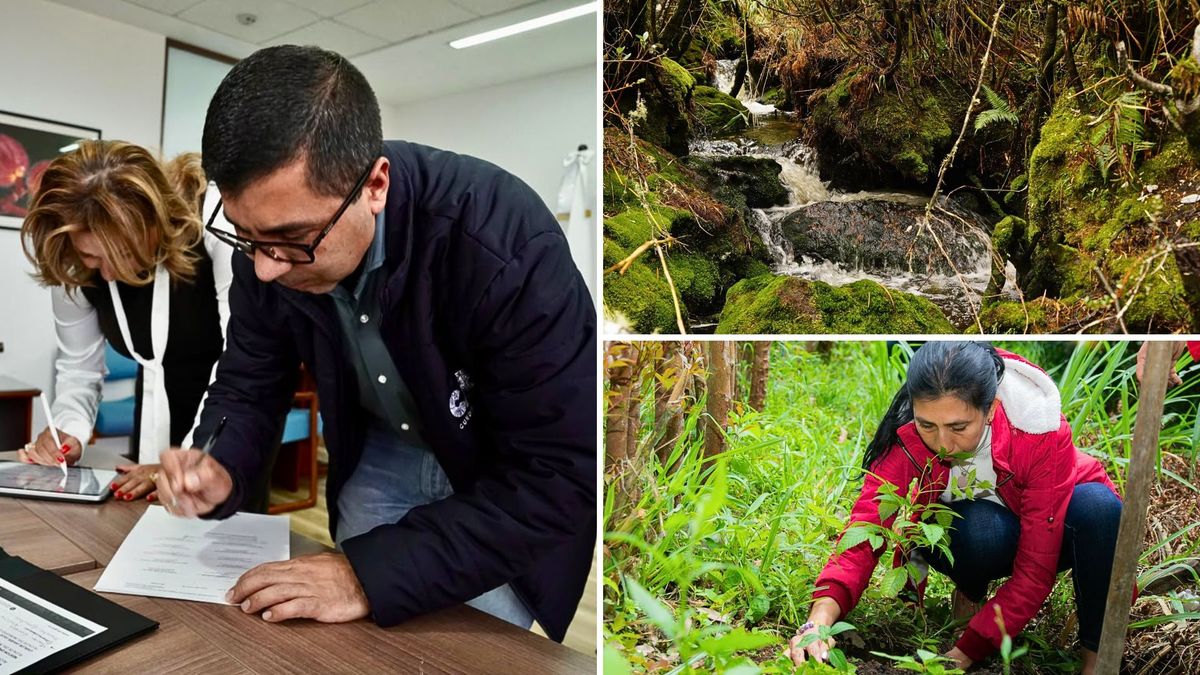 ¿Qué municipios de Sabana Centro serán intervenidos para proteger el agua?