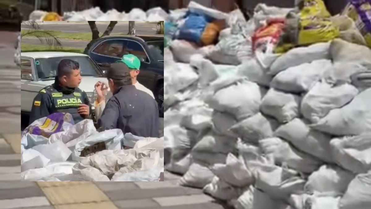 Dejó 30 lonas en el andén por ahorrarse viaje le cobraron $1 millón