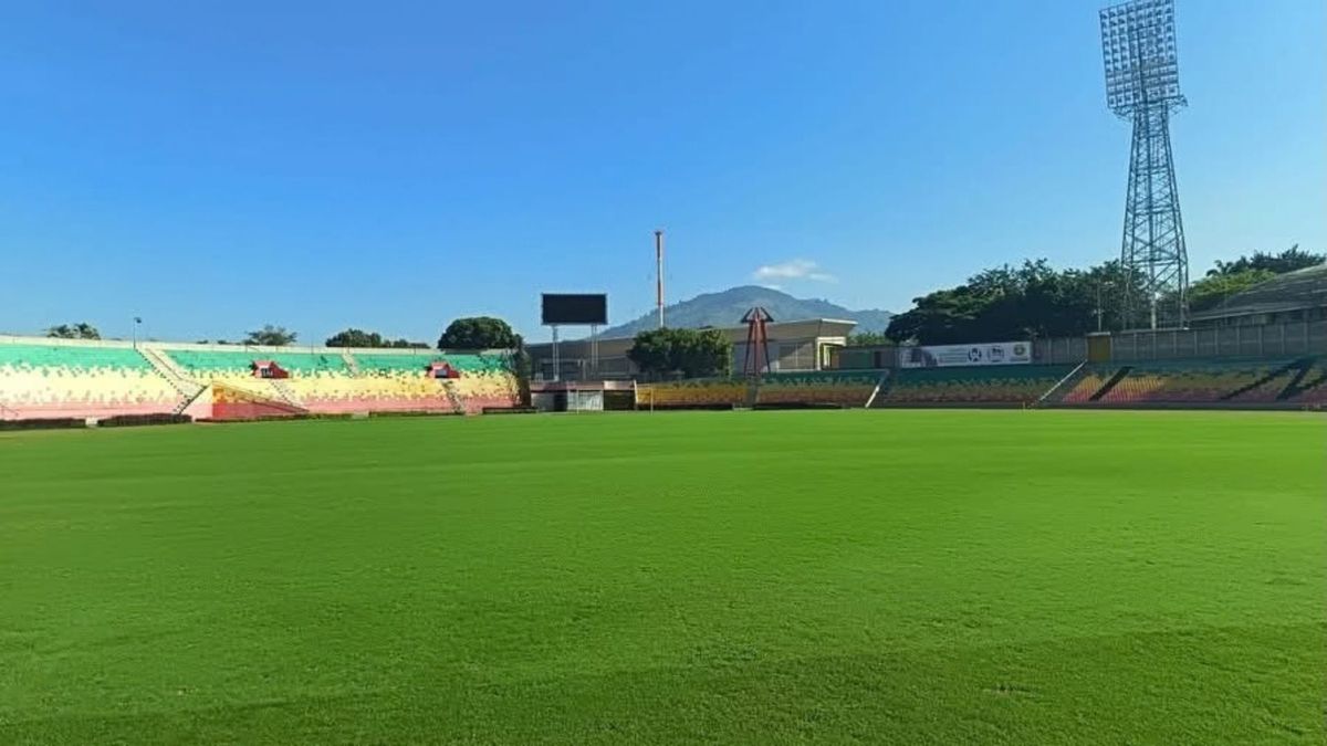Cesped del estadio Américo Montanini