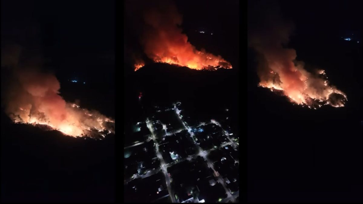 Incendio forestal en Sabana de Torres