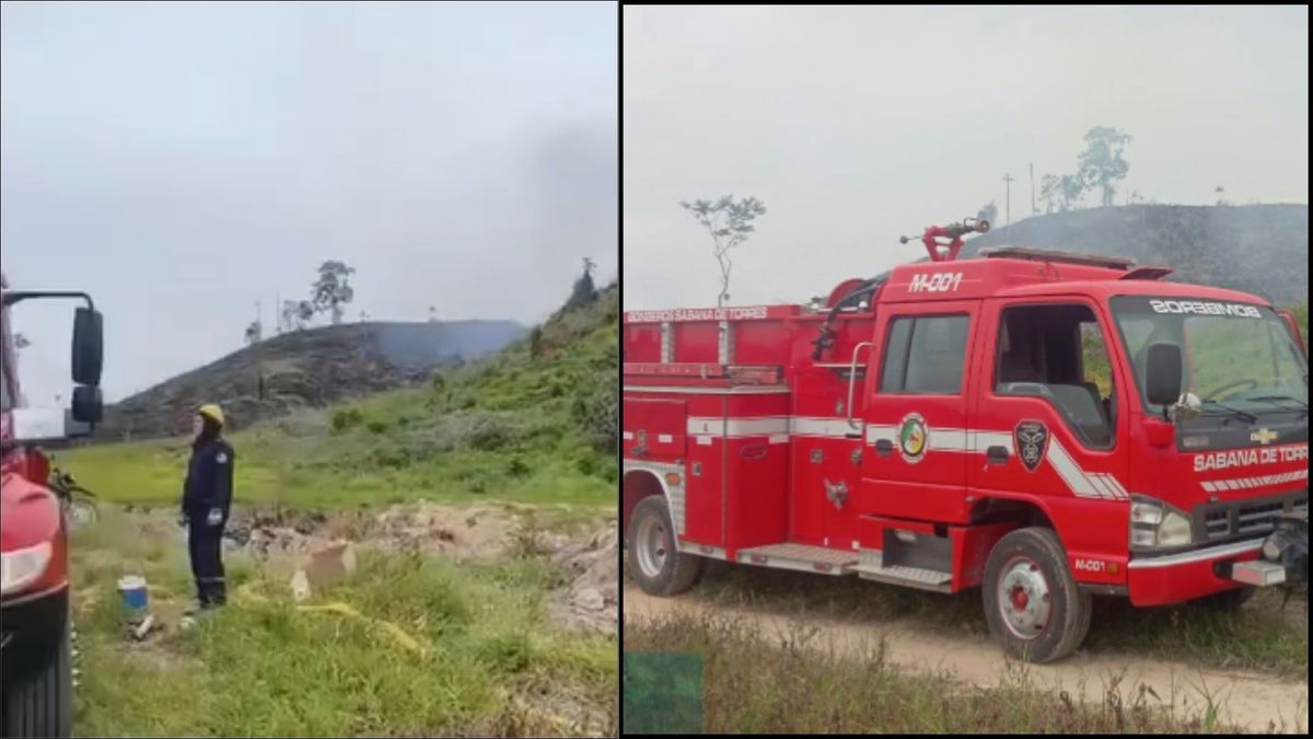 Incendio forestal Sabana de Torres
