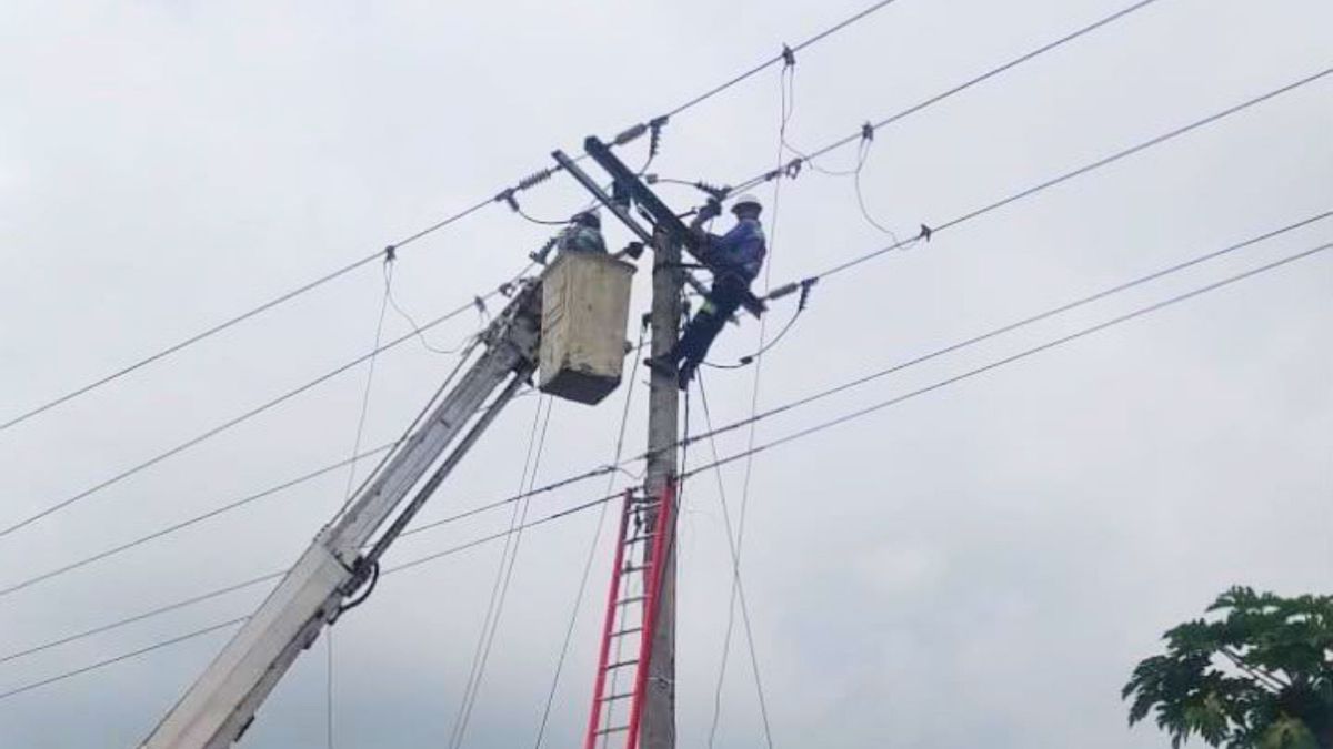 Trabajos de Afinia en Bolívar - imagen de referencia