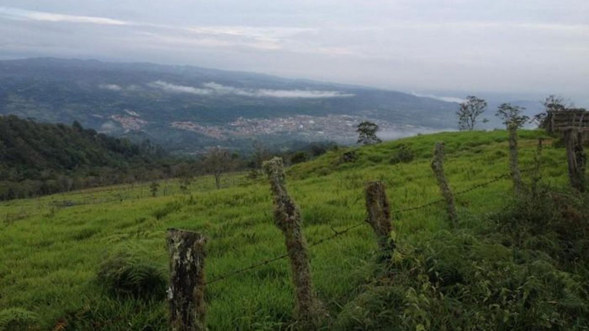 Zona rural de Barbosa