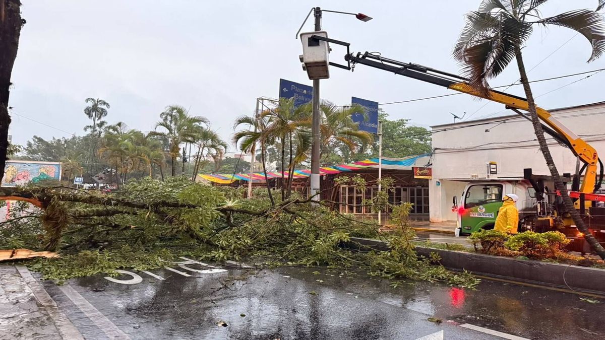 Emergencias por lluvias en Ibagué | Caída de Arboles | Damnificados | Octubre 2026