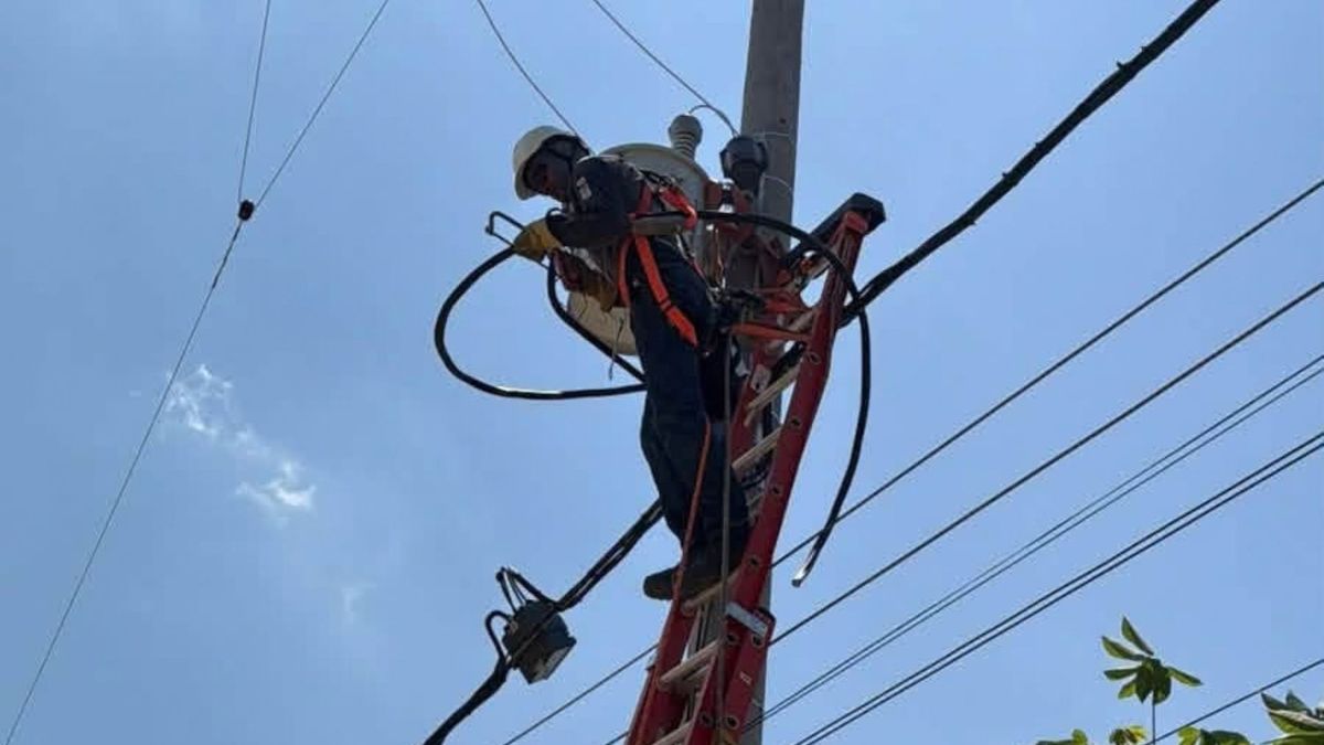 Trabajos en redes eléctricas - Norte de Santander