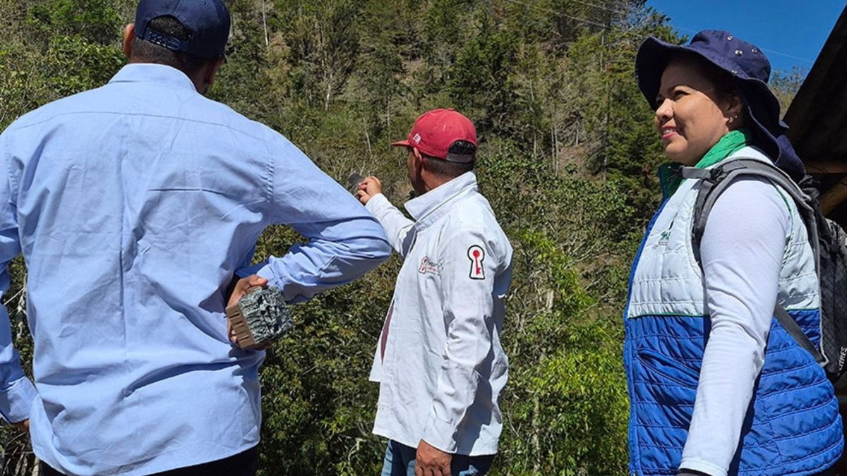 Recorridos preventivos en zonas boscosas de Santander