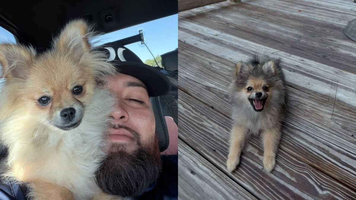 Perrita Rimi y su dueño