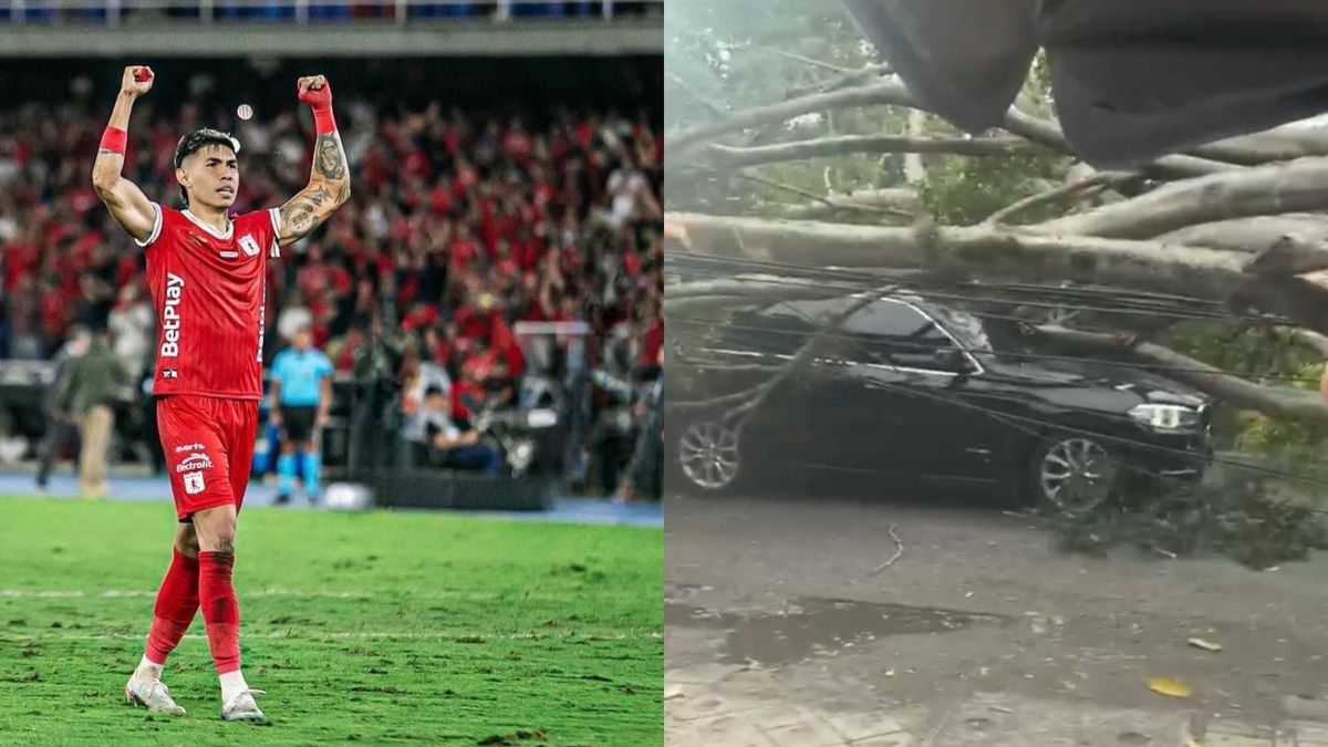Nicolás Hernández y carro debajo de árbol