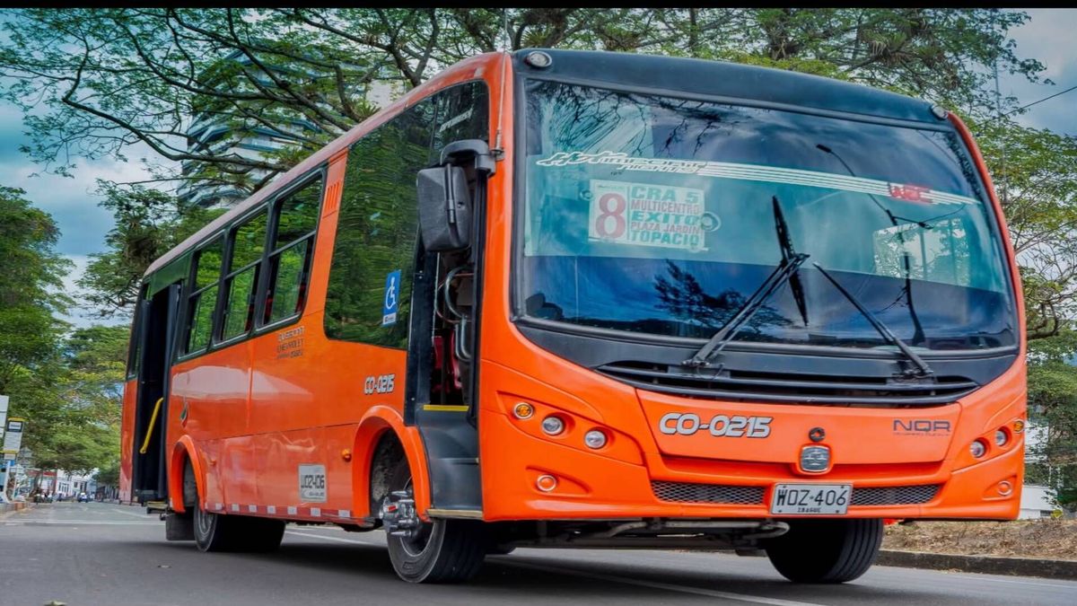 Servicio de transporte público colectivo en Ibagué | Modificación de Rutas | Actualización | Octubre 2026