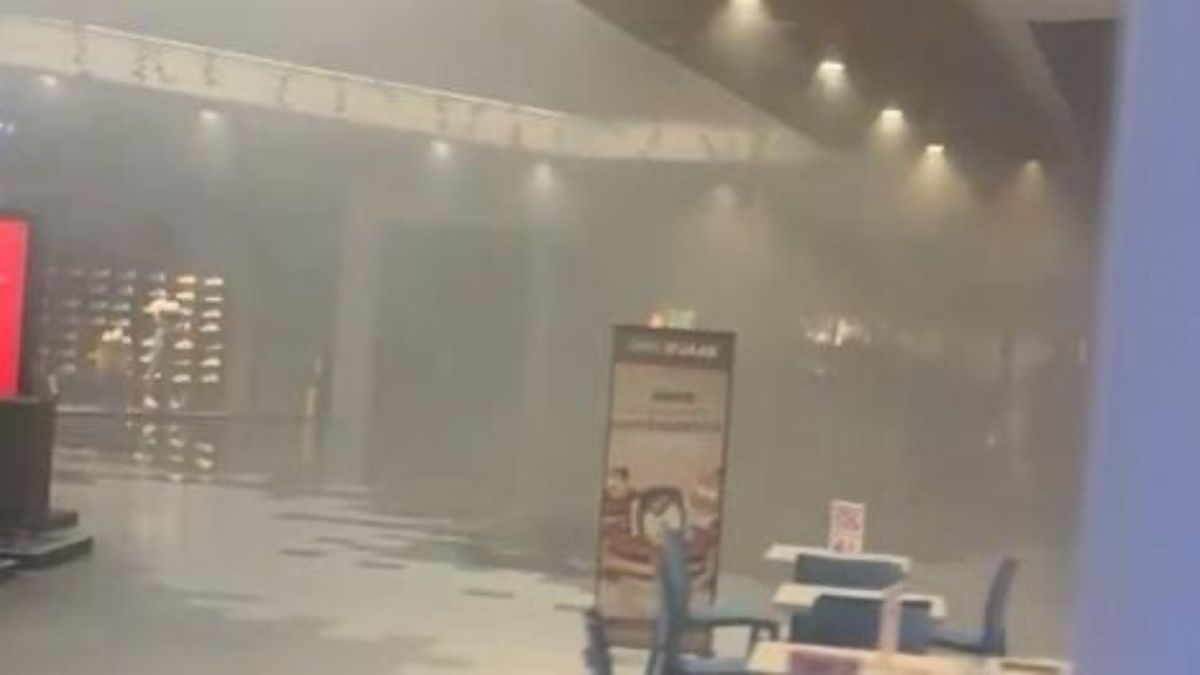 Incendio en Parque Alegra