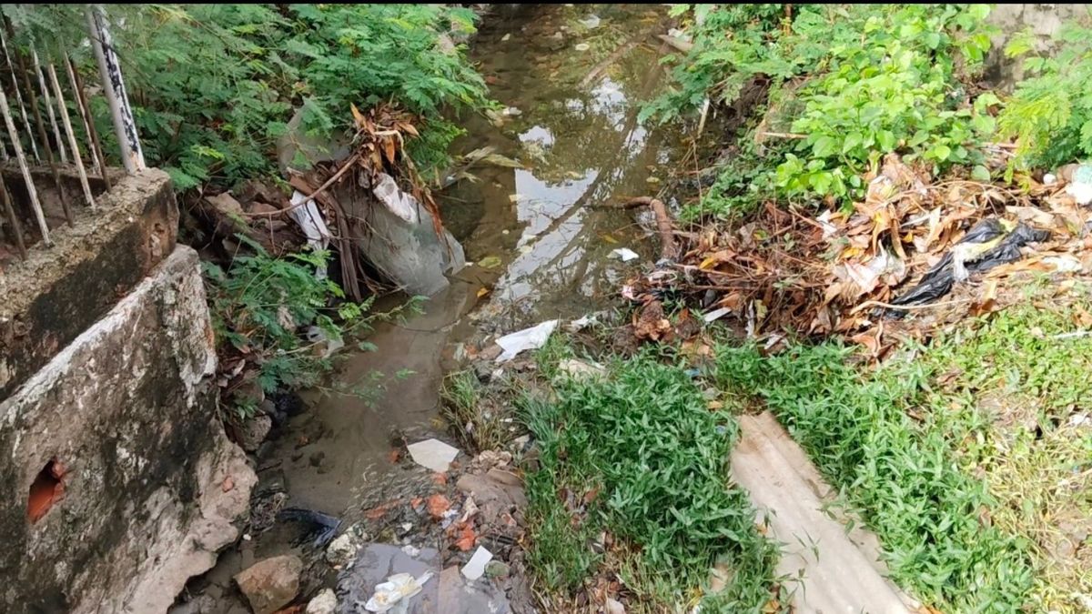 ¡Cada lluvia es una pesadilla! Tres arroyos inundan casas en barrio Los Olivos de Barranquilla