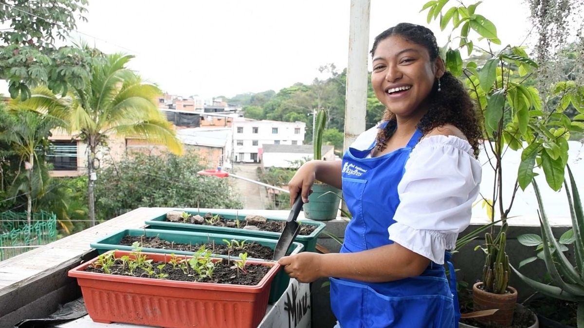 Cortolima le cumple a Ibagué.
