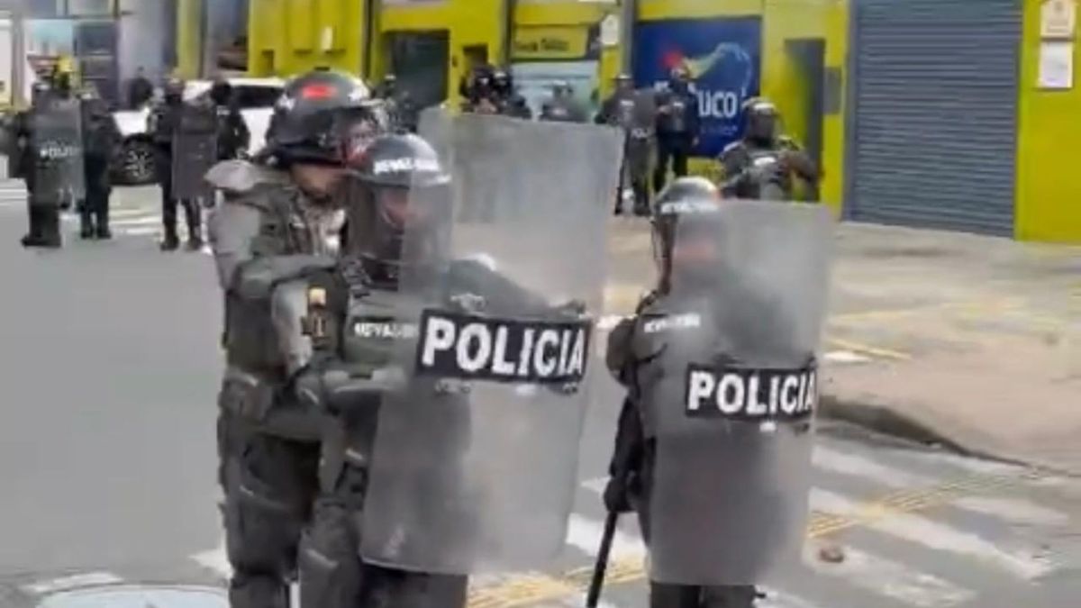 Desmanes Medellín.