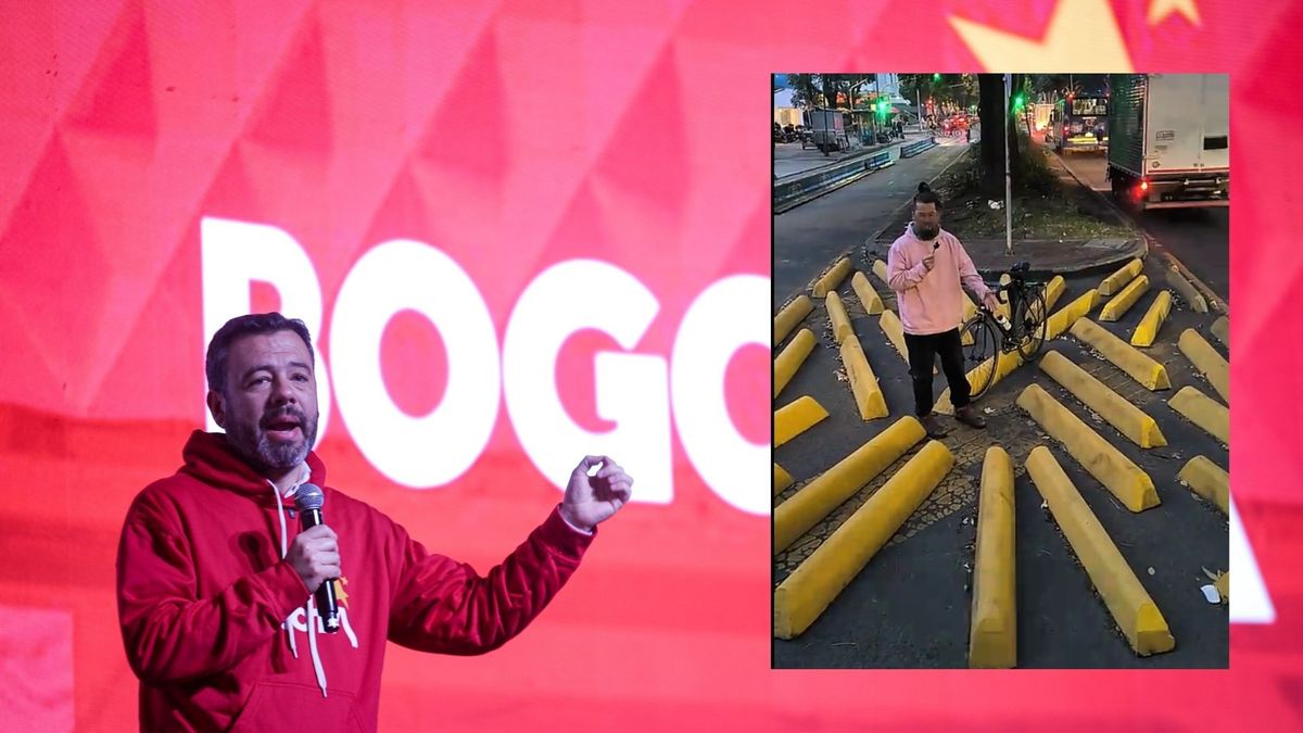 Cosmoser jardín de cemento bolardos TransMilenio árbol espacio público