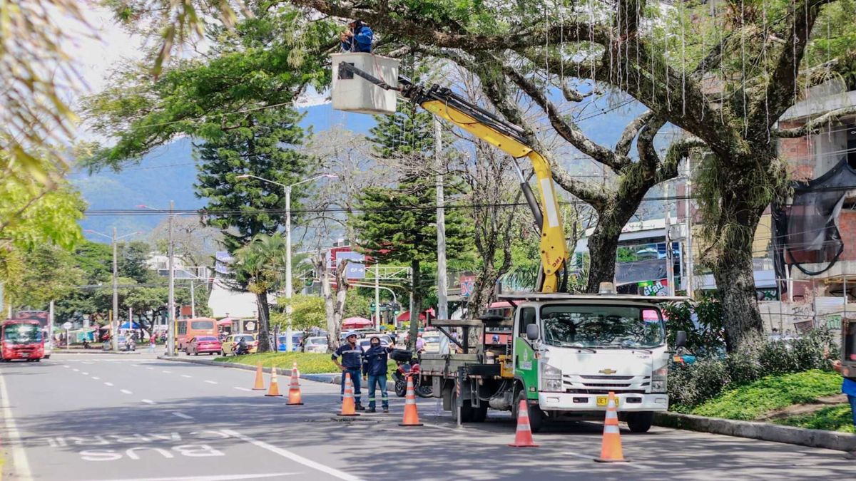 Instalación del alumbrado navideño en Ibagué